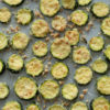 Roasted Zucchini Chips